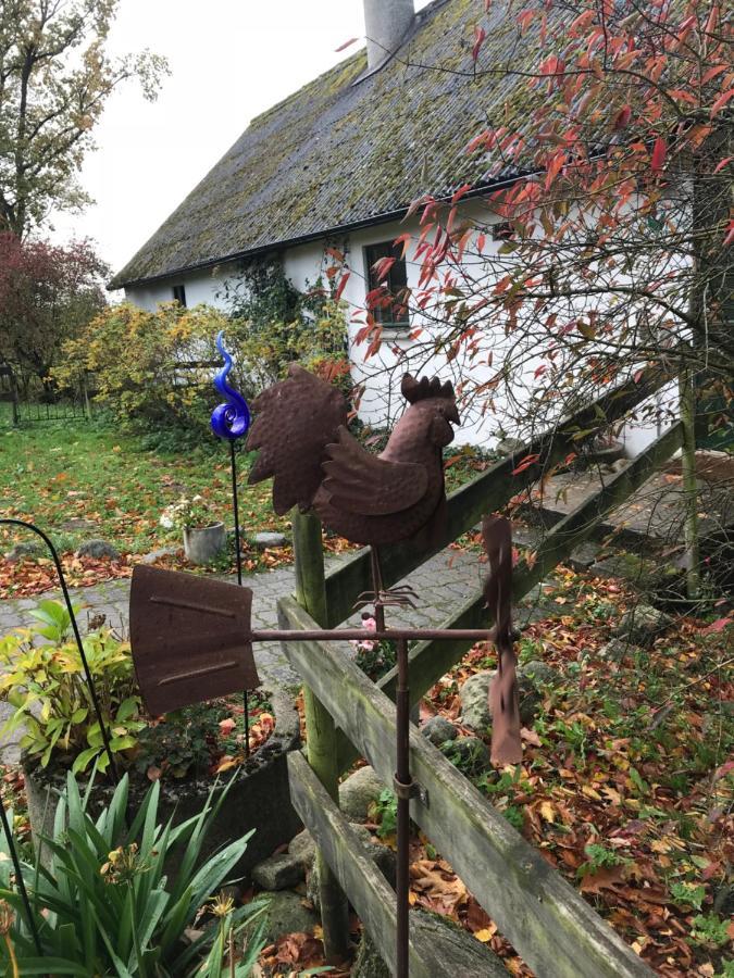 Bed and Breakfast The Old Henhouse Tollarp Exterior foto